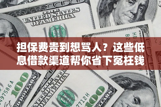 济南担保费贵到想骂人？这些低息借款渠道帮你省下冤枉钱