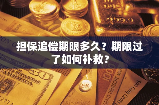 济南担保追偿期限多久？期限过了如何补救？