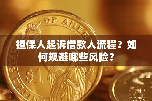 济南担保人起诉借款人流程？如何规避哪些风险？