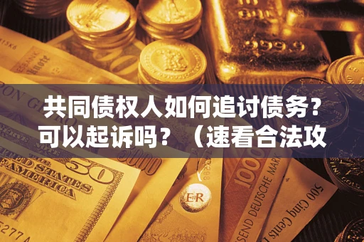 济南共同债权人如何追讨债务？可以起诉吗？（速看合法攻略）